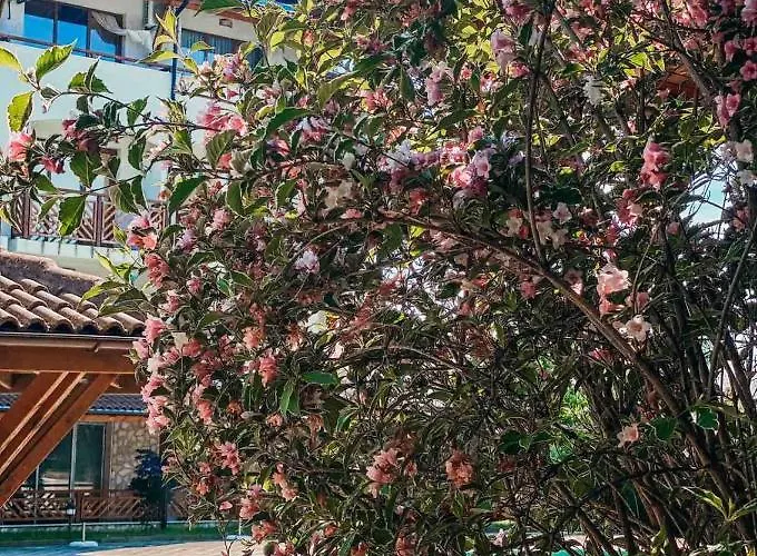 Mm Complex מלון דירות